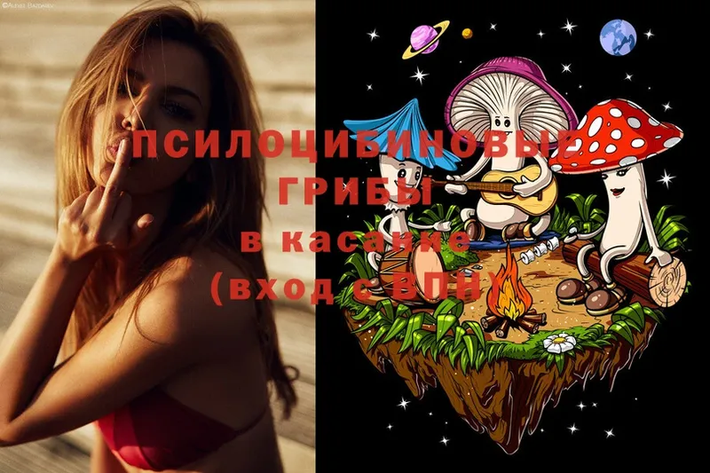 Псилоцибиновые грибы Psilocybe  blacksprut рабочий сайт  Тутаев 